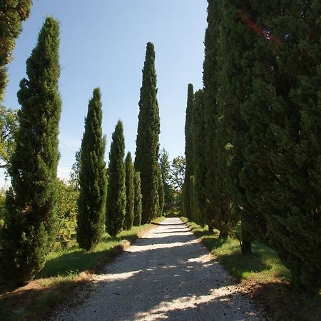 Villa Ghislanzoni Vicenza Exterior foto